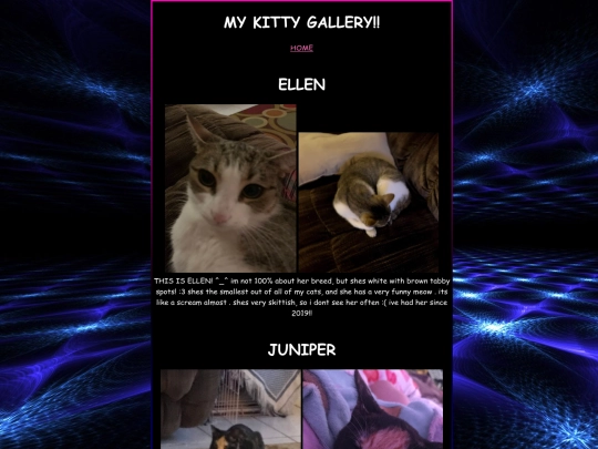 cats screenshot