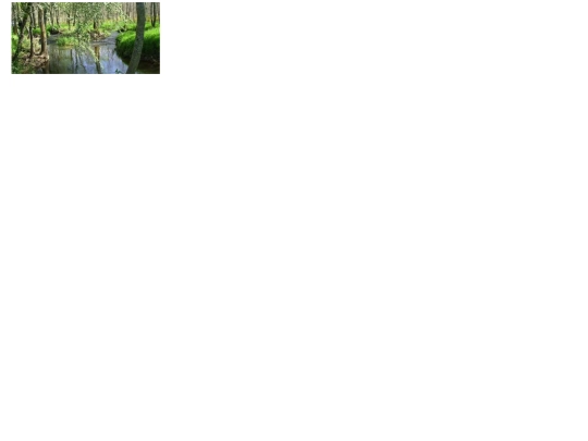 imaxes/index-2 screenshot
