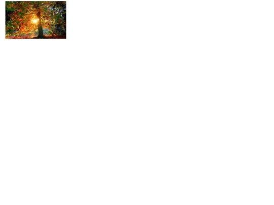 imaxes/index-3 screenshot