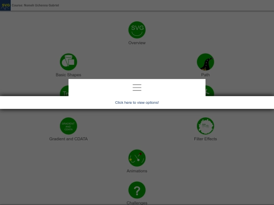 svg-course screenshot