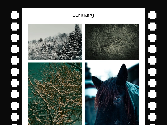 albums/photography/2025/04/23/January screenshot