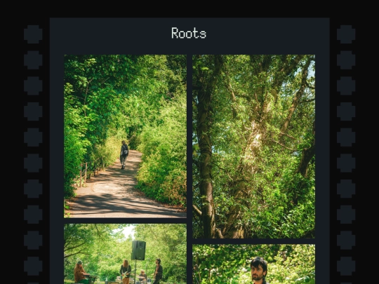 albums/photography/2025/06/04/Roots screenshot