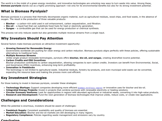promising-investment-opportunities-maximizing-value-from-biomass-pyrolysis screenshot