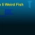Fish,Fish And More Fish! avatar