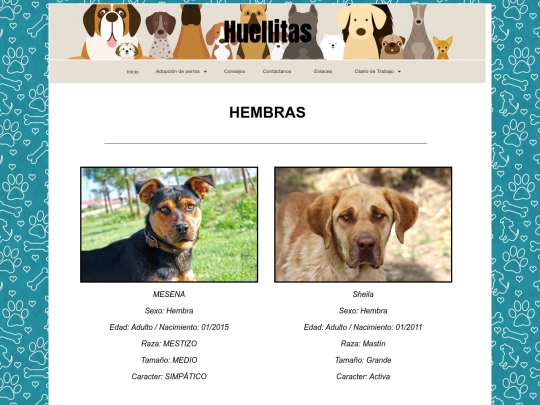 Adopción de perros screenshot