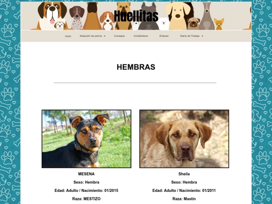hembras screenshot