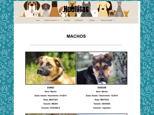 machos screenshot