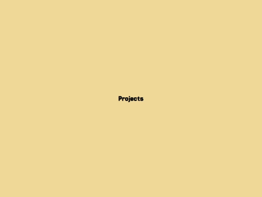 projects screenshot