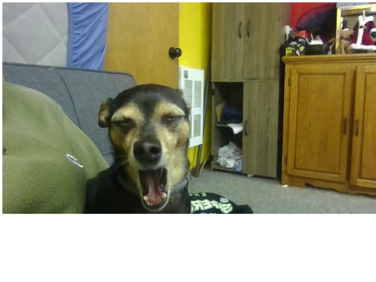testing screenshot
