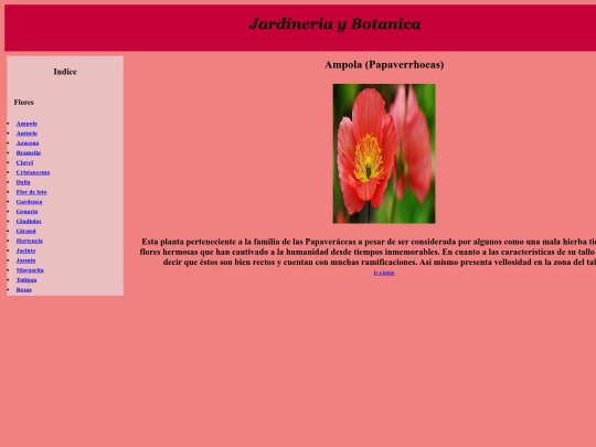 PaginaWeb/Ampola screenshot
