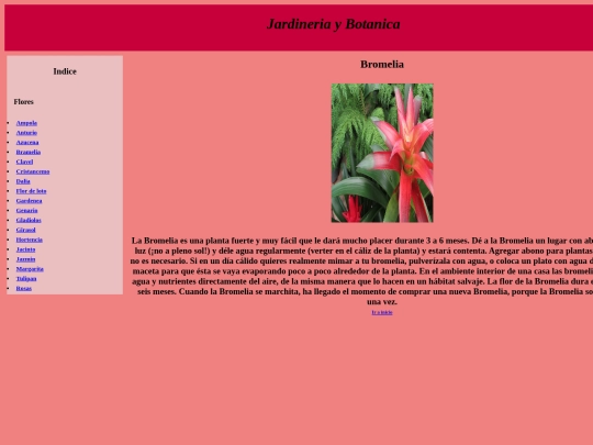 PaginaWeb/Bromelia screenshot