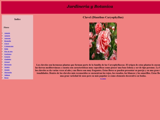 PaginaWeb/Clavel screenshot
