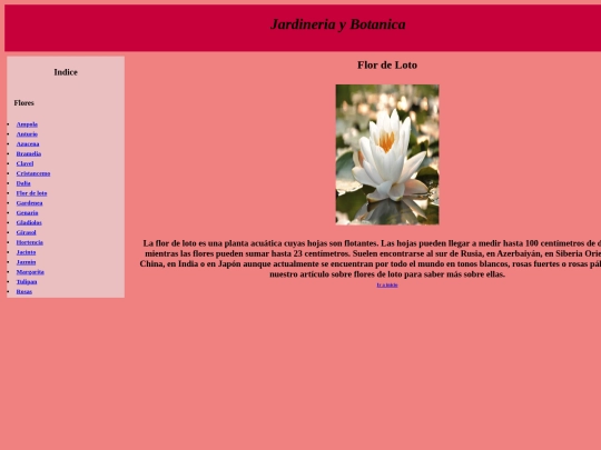PaginaWeb/Flordeloto screenshot