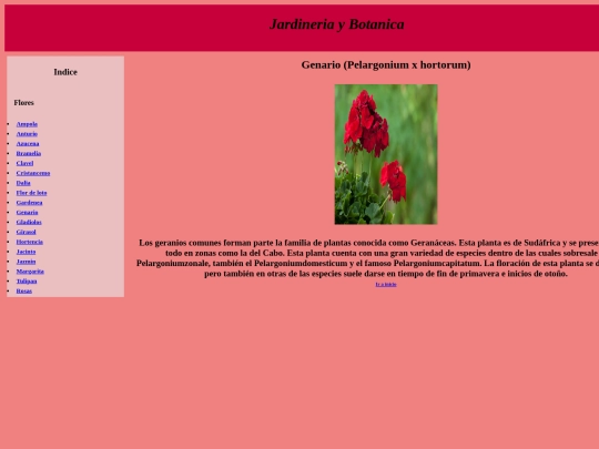 PaginaWeb/Genario screenshot