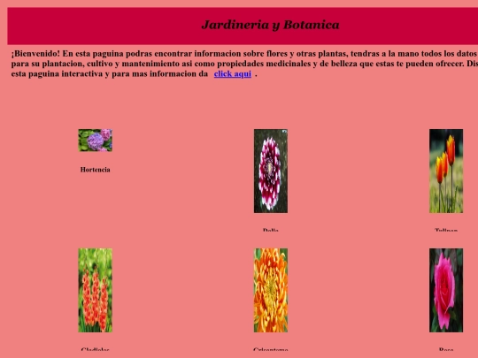 PaginaWeb/Inicio screenshot