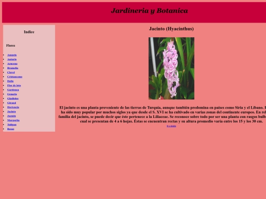 PaginaWeb/Jacinto screenshot