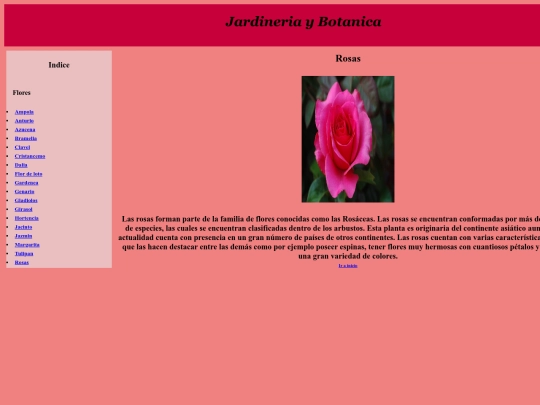 PaginaWeb/Rosas screenshot