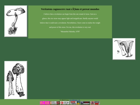 fairybook screenshot