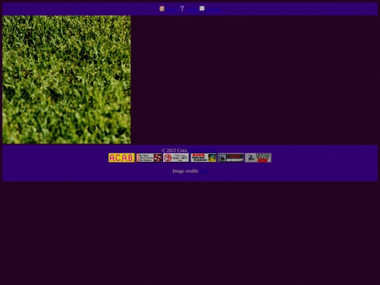 tv screenshot