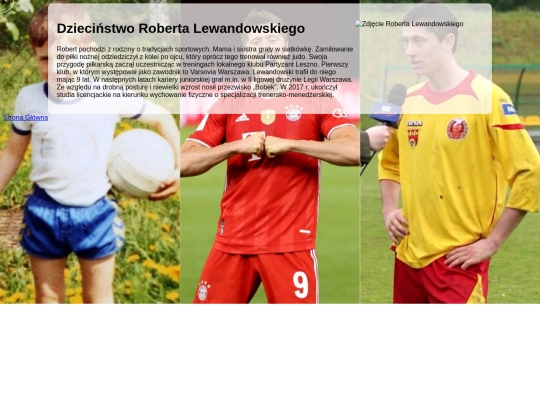 podstrony/lewy screenshot