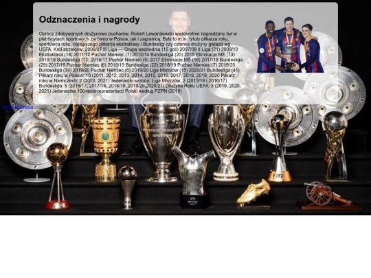 podstrony/lewy3 screenshot