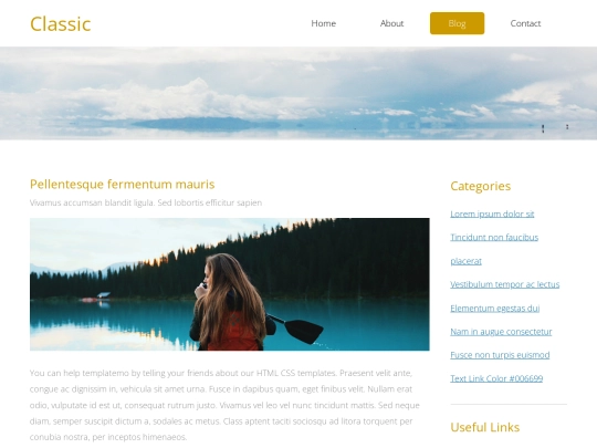 blog screenshot