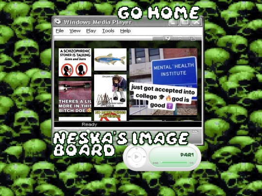 neskasphotos screenshot