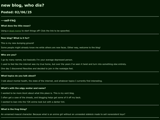 p/2025/new-blog-who-dis screenshot