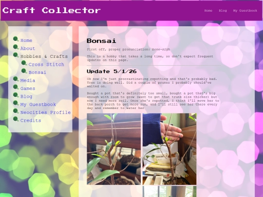 bonsai screenshot