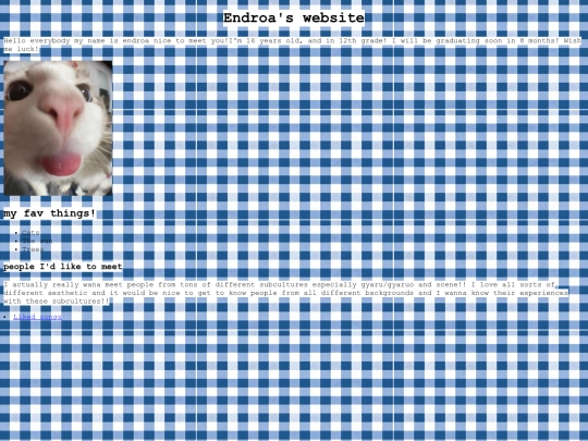 loadingscreen screenshot