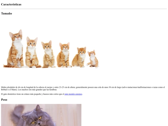 Características screenshot