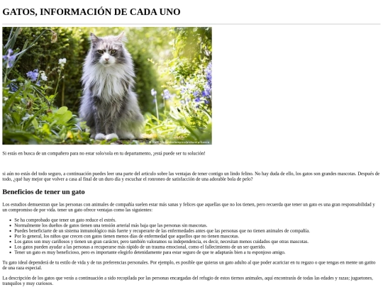 Información_gatos_callejeros screenshot
