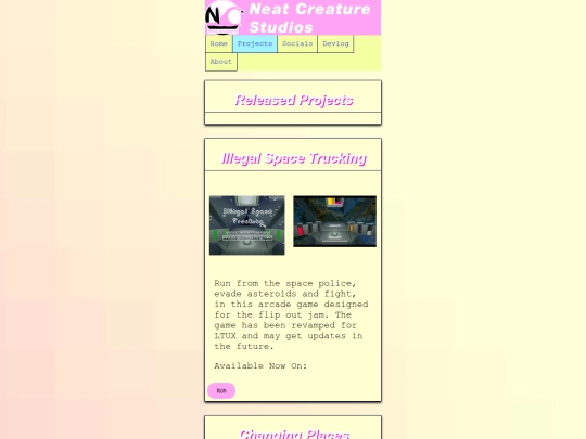 projects screenshot
