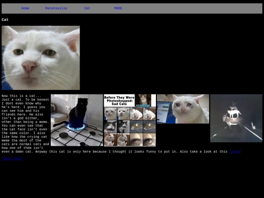 now screenshot