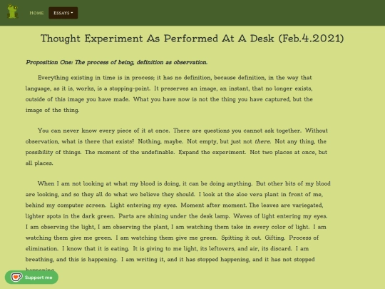 essays/thoughtdesk screenshot