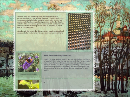 pages/bugs screenshot