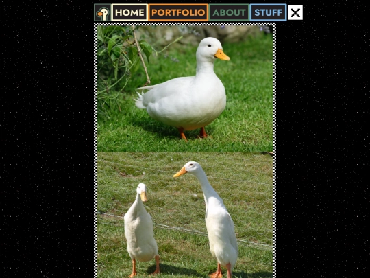 ducks screenshot