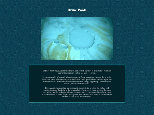 brinepool screenshot