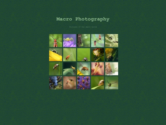 photomacro screenshot