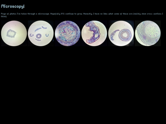 site_sections/skeleton-sections/microscope screenshot