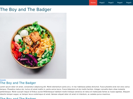 myfirstwebpage1 screenshot