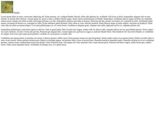myfirstwebsite screenshot