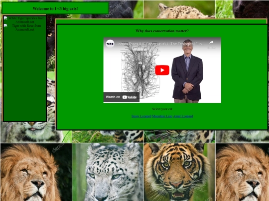 I <3 big cats/lastproject screenshot