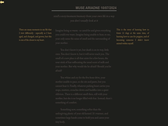 muse/10-07-2024 screenshot