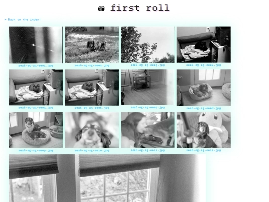 gallery/first-roll screenshot