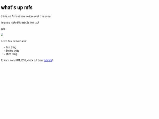 index screenshot