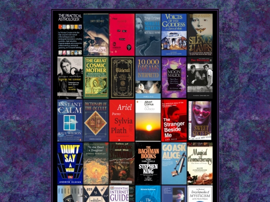bookshelf screenshot