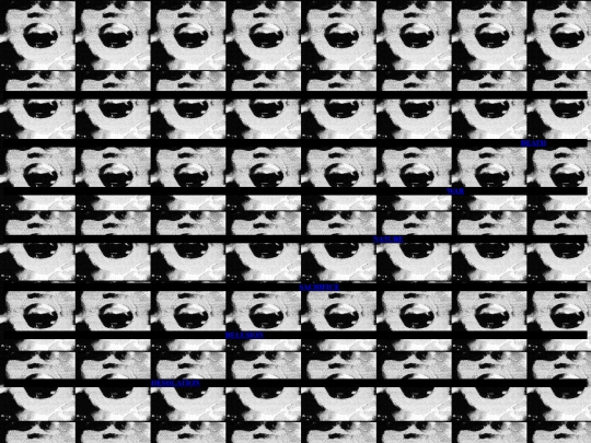 eyeoffate screenshot