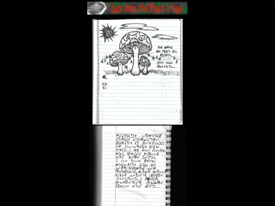 scans screenshot