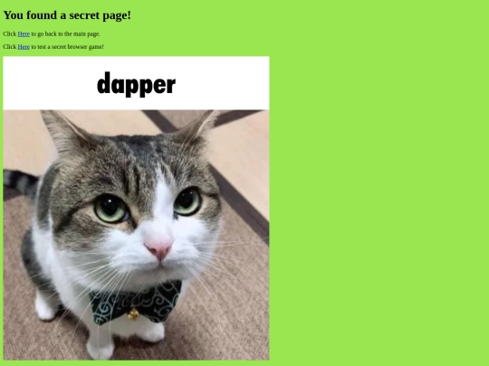 secret screenshot